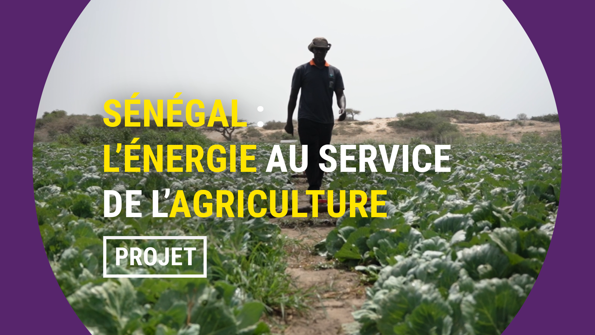 Sénégal : l'énergie au service de l'agriculture